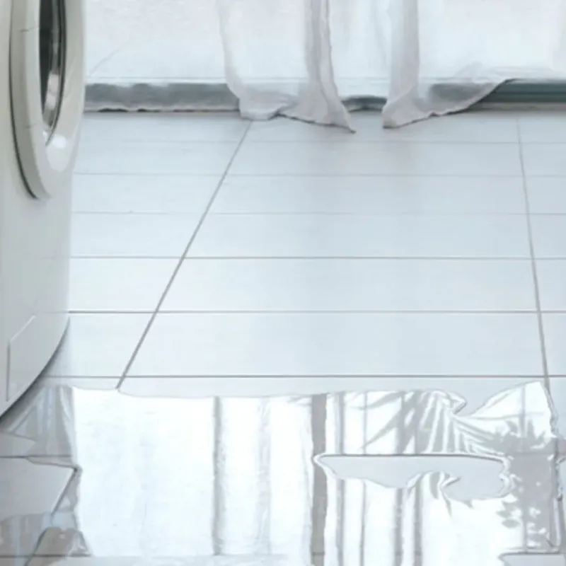 Appliance Leak Cleanup in Lake Helen, FL